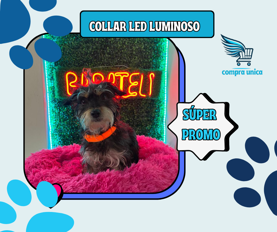 Collar para  Mascotas led luminoso